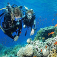 Curated Try Scuba Diving In Havlock