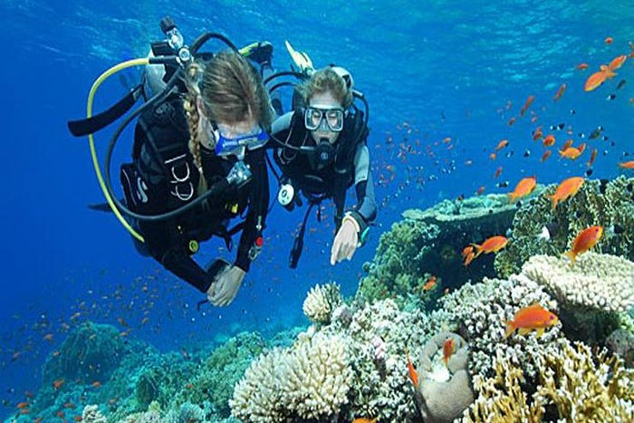 Curated Try Scuba Diving In Havlock
