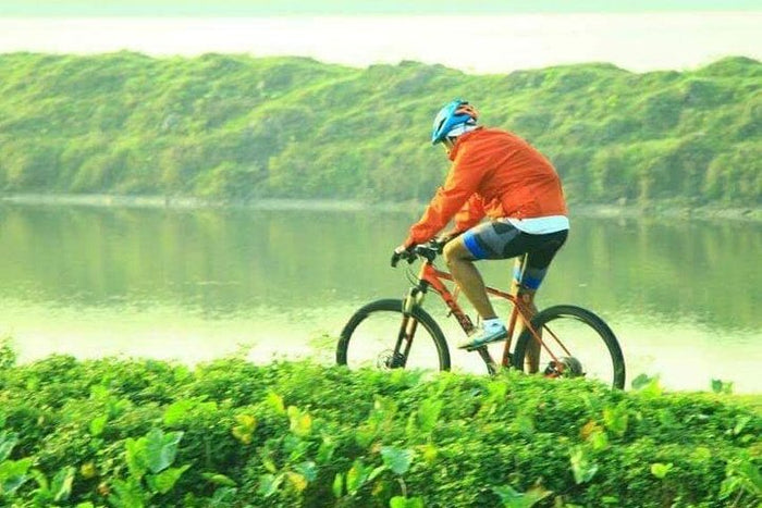 vegetable trails, natural aquaponics