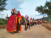 Royal Elephant Experience with Safari and Cultural Village Tour in Jaipur