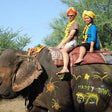 Royal Elephant Experience with Safari and Cultural Village Tour in Jaipur