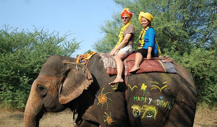 Royal Elephant Experience with Safari and Cultural Village Tour in Jaipur