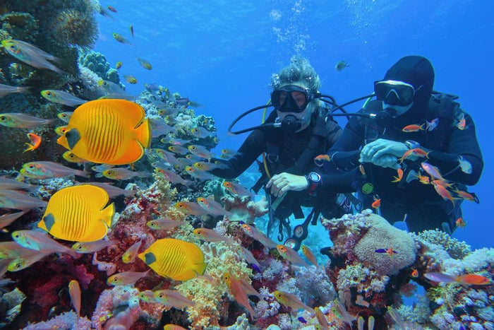 Premium Scuba Diving Package, Goa | Use THRILLO200 for Flat 200 Off