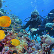 Premium Scuba Diving Package, Goa | Use THRILLO200 for Flat 200 Off