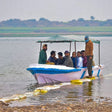 From Ranthambore:National Chambal Alligator Private Trip All Incl