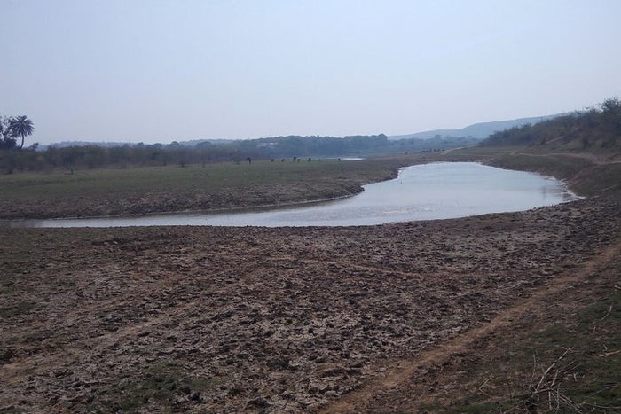 Same Day Trip To National Chambal Sanctuary From Agra With River Safari