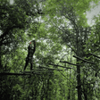 High Rope Adventure Activities in Coorg