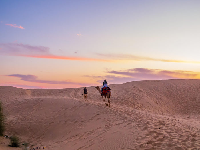 Half-Day Camel Safari in Jaisalmer