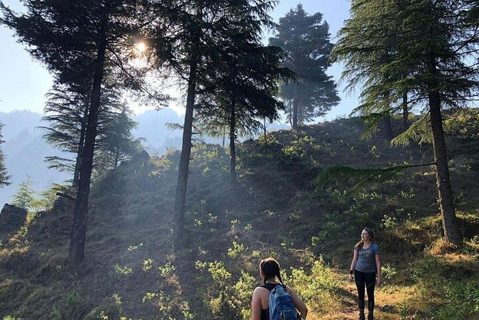 Cailyn on the lead: Top Tibba Trek