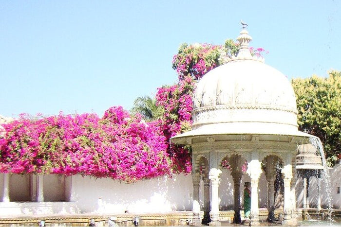 Visit to Sahelion Ki Bari, Garden of the Maidens, Udaipur