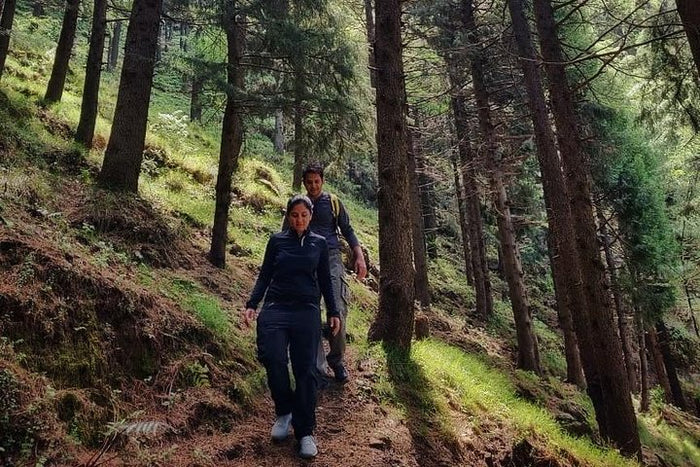 Walking through the woods: Top Tibba