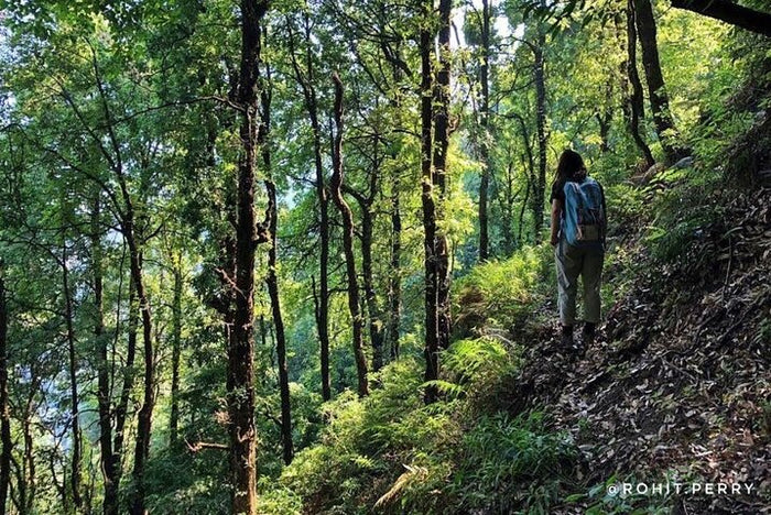 Lost in the wild: Top Tibba trek