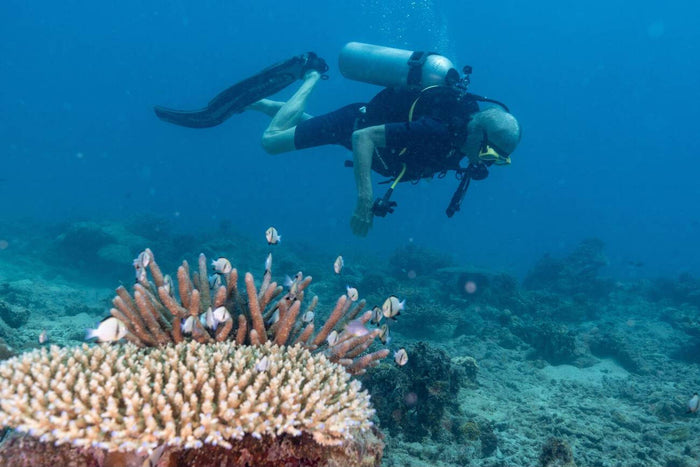 Scuba Diving in Andaman