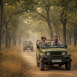 Thrilling Jeep Safari in Jim Corbett National Park from Ramnagar