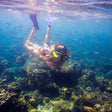 Thrilling Guided Snorkelling Experience in Kovalam