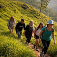 Sunrise Trek at Munnar for One
