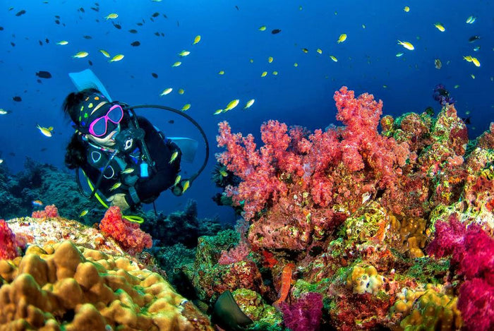 Scuba Diving Experience in Pondicherry