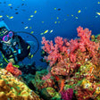 Scuba Diving Experience in Pondicherry