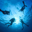 Scuba Diving in Kochi