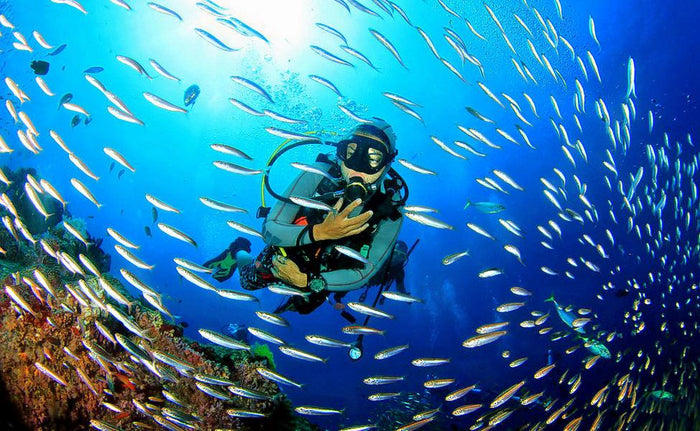 Scuba Diving in Chennai