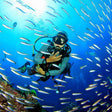 Scuba Diving in Chennai