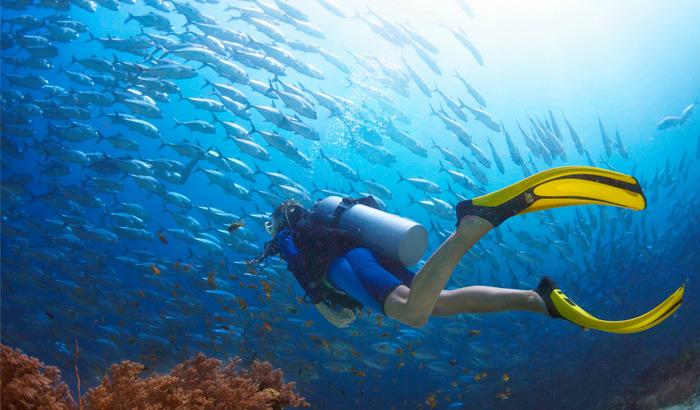 Scuba Diving Experience in Pondicherry