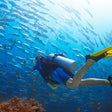 Scuba Diving Experience in Pondicherry