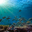 Scuba Diving In Gokarna