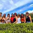 Local Tea Trail and Tea Factory Visit in Munnar