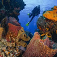 Thrilling PADI Scuba Diver Certification Course in Kovalam