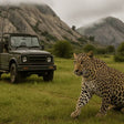 Evening Leopard Safari Experience in Jawai Leopard Conservation Area for One