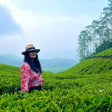 Local Tea Trail and Tea Factory Visit in Munnar