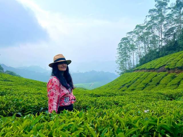 Local Tea Trail and Tea Factory Visit in Munnar