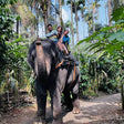 Thrilling Thekkady Scenic Jeep Sightseeing Tour by Periyar Adventures Safari