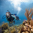 Thrilling PADI Scuba Diver Certification Course in Kovalam