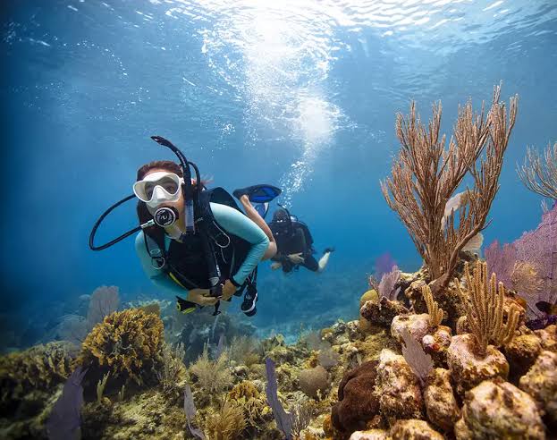 Thrilling PADI Scuba Diver Certification Course in Kovalam
