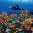 Thrilling PADI Scuba Diver Certification Course in Kovalam