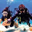 Thrilling Discover Scuba Diving Experience in Kovalam by Bond Safari