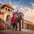 Royal Elephant Experience with Safari and Cultural Village Tour in Jaipur