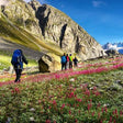 Romantic Mountain Top Hike and Camping Experience in Himachal for Couples