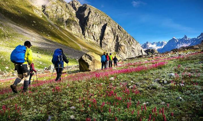 Romantic Mountain Top Hike and Camping Experience in Himachal for Couples