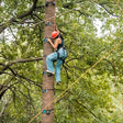 Tea Top Adventure & Ape Climbing Experience in Himachal