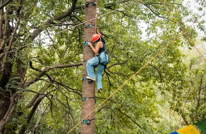 Tea Top Adventure & Ape Climbing Experience in Himachal