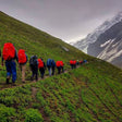 Shepard’s Trail Hike in Himachal
