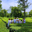 Palampur Adventure and Heritage Experience with Tea Garden Tour