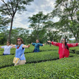 Palampur Adventure and Heritage Experience with Tea Garden Tour