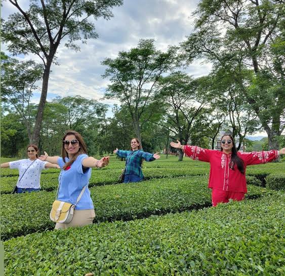 Palampur Adventure and Heritage Experience with Tea Garden Tour
