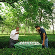 Kangra Valley Art, Heritage, and Tea Trail Experience
