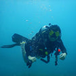 Grand Island Scuba Diving with Free Videography