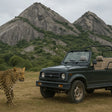 Evening Leopard Safari Experience in Jawai Leopard Conservation Area for One
